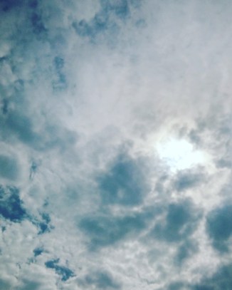 IMG_20160507_150357(1)